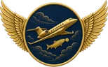 Coinfish Aviation winged logo